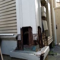 Historical Column/Structural Repair