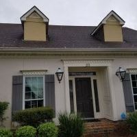 soffit and fascia / dormer repair / paint